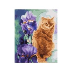 Картина по номерам "Рыжее с ирисами", 40x50 см Paintboy