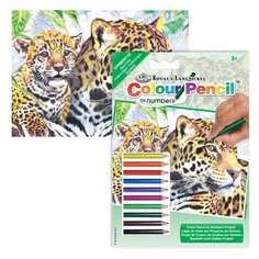 Раскраска по номерам карандашами "Ягуары", 14x20 см Royal & Langnickel