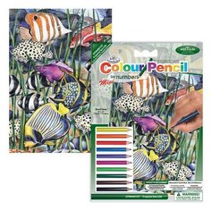 Раскраска по номерам карандашами "Подводный мир", 14x20 см Royal & Langnickel
