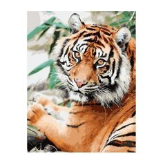 Картина по номерам Paintboy GX 38945 Могучий тигр , холст на подрамнике 40х50см