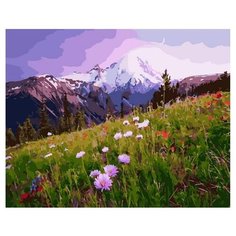 Картина по номерам Paintboy GX 38958 Полевые цветочки , холст на подрамнике 40х50см