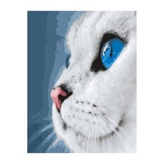 Картина по номерам Paintboy GX 39255 Белый котик , холст на подрамнике 40х50см