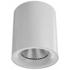 Спот Arte Lamp Facile A5130PL-1WH