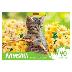 Альбом для рисования ErichKrause Жизнь в цветах 29.7 х 21 см (A4), 120 г/м², 40 л.