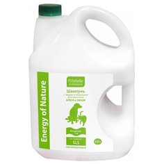 Шампунь Пчелодар Professional Energy of Natural с мёдом и облепихой Концентрат 1:4 5л