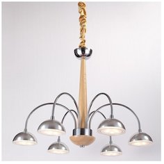 Люстра светодиодная Lucia Tucci Natura 065.6 Led, LED, 30 Вт