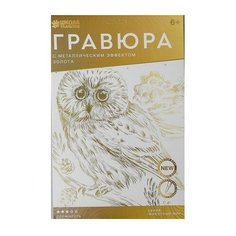 Гравюра Школа талантов Мудрая сова (4528669) золотистая основа