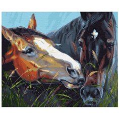 Molly картина по номерам "С любовью" 40х50 см (KH0815)