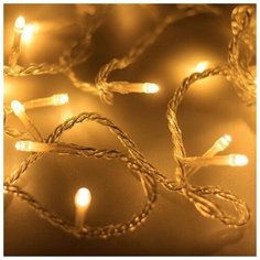 Гирлянда Ardecoled нить 025750 (500 см), 50 ламп, теплый белый/прозрачный провод