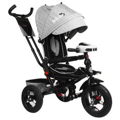 Трехколесный велосипед Micio Comfort Plus 2019, серый