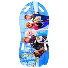 Ледянка 1 TOY Холодное сердце (Т57258) синий