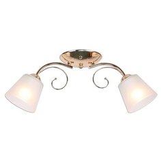 Люстра IMEX MD.0361-2-S FGD, E27, 120 Вт