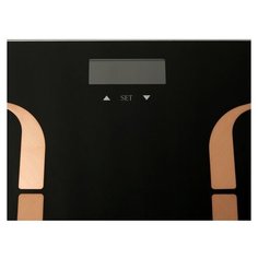 Весы электронные CENTEK CT-2431 Smart