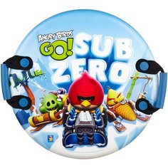 Ледянка 1 TOY Angry Birds (Т57213) голубой