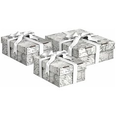 Набор коробов подарочных из картона с лентой 3 шт., 1 шт. - 25*33*9 см, 2 шт. - 16.5*25*9 см, EXPEDITION Valiant