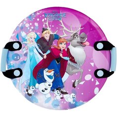 Ледянка 1 TOY Холодное сердце (Т13996) фиолетовый
