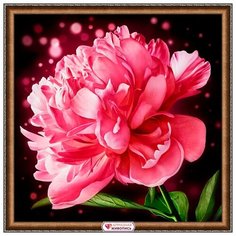 АЖ-1784 Картина стразами Сверкающий пион 25*25см Алмазная живопись