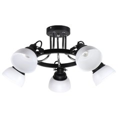 Люстра потолочная 5*60Вт E14 Imex