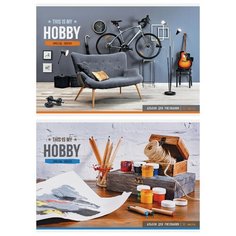 Альбом для рисования ArtSpace "Увлечения. My hobby", 32 л., 5 шт./2 дизайна в упаковке