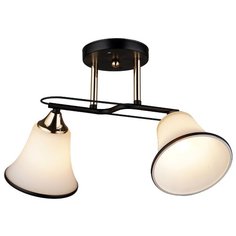 Люстра потолочная 2*60Вт E27 MD.QH-0059-2-BK Imex