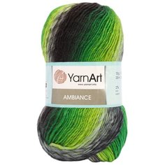 Пряжа YarnArt Ambiance 100гр 250м (20% шерсть, 80% акрил) (156 секционный), 5 мотков