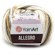 Пряжа YarnArt Allegro 50гр 145м (13% шерстъ, 41% полиамид, 46% акрил) (741 секционный), 10 мотков