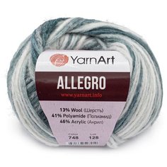 Пряжа YarnArt Allegro 50гр 145м (13% шерстъ, 41% полиамид, 46% акрил) (748 секционный), 10 мотков