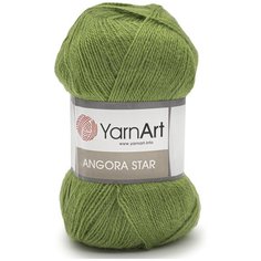Пряжа YarnArt Angora Star 100гр 500м (20% тонкая шерсть, 80% акрил) (098 зеленый), 5 мотков