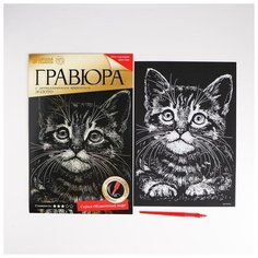 Гравюра "Котенок" с металлическим эффектом А4 Школа талантов