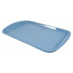 Поднос Plast Team PT9216 туманно-голубой