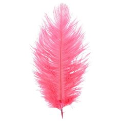 AR149-1 Перо страуса обработанные 20-25см, 10шт/упак (лососевый) АЙРИС пресс