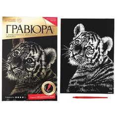 Гравюра «Тигрёнок» с металлическим эффектом золота А4 Школа талантов