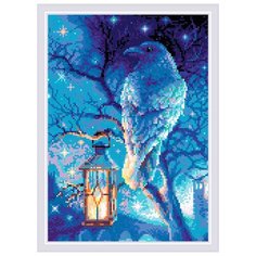 AM0043 Набор алмазной мозаики Риолис Мудрый ворон 27*38см