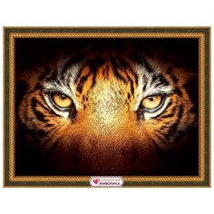 АЖ-1827 Картина стразами Тигриный взгляд 40*30см Алмазная живопись