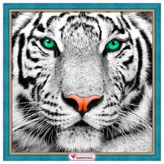 АЖ-1788 Картина стразами Портрет белого тигра 25*25см Алмазная живопись