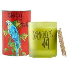 Свеча ароматическая Ambientair Parrot - цитрусовый Wild 40 ч