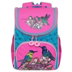 Ранец школьный RAm-084-3 компактный и очень легкий + мешок для обуви, для девочек, принт Птицы, голубой - розовый. Grizzly