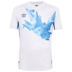 Футболка игр.кор.рук.,муж. ORIGAMI JERSEY SS 120215-177-M,US Umbro