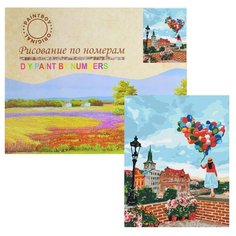 Картина по номерам Paintboy "Воздушное настроение"
