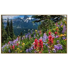 Алмазная мозаика Milato "Весна в горах", 65*50 см, 45 цветов