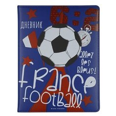 Дневник школьный "Футбол.Чемпионы.Франция" 1 вид (48 л) Альт
