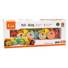 Каталка-игрушка Viga Червяк (59950) разноцветный