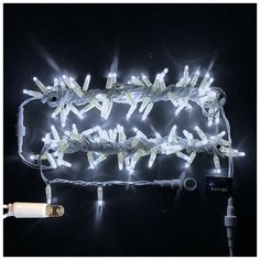 Гирлянда Rich LED RL-S10C-220V-CW/W, 100 ламп, белый/белый провод