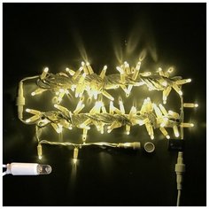Гирлянда Rich LED RL-S10C-220V-CW/WW, 100 ламп, теплый белый/белый провод