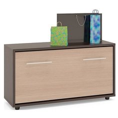 Обувница СОКОЛ ТП-3 , размер (ШхГ): 90х28.7 см , цвет: венге/дуб беленый