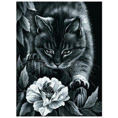 Картина по номерам "Ночные приключения", 30x40 см Белоснежка