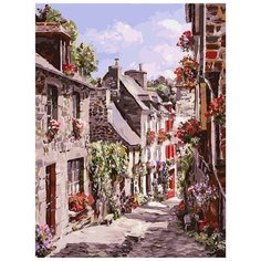 Картина по номерам "Франция. Динан", 30x40 см Белоснежка