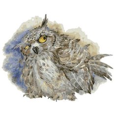 Картина по номерам "Бубо Бубо", 30x40 см Белоснежка