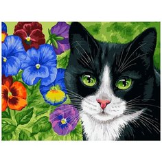 Картина по номерам "Кот в анютиных глазках", 30x40 см Белоснежка