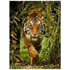 Картина по номерам "Мягкой поступью", 40x50 см Цветной